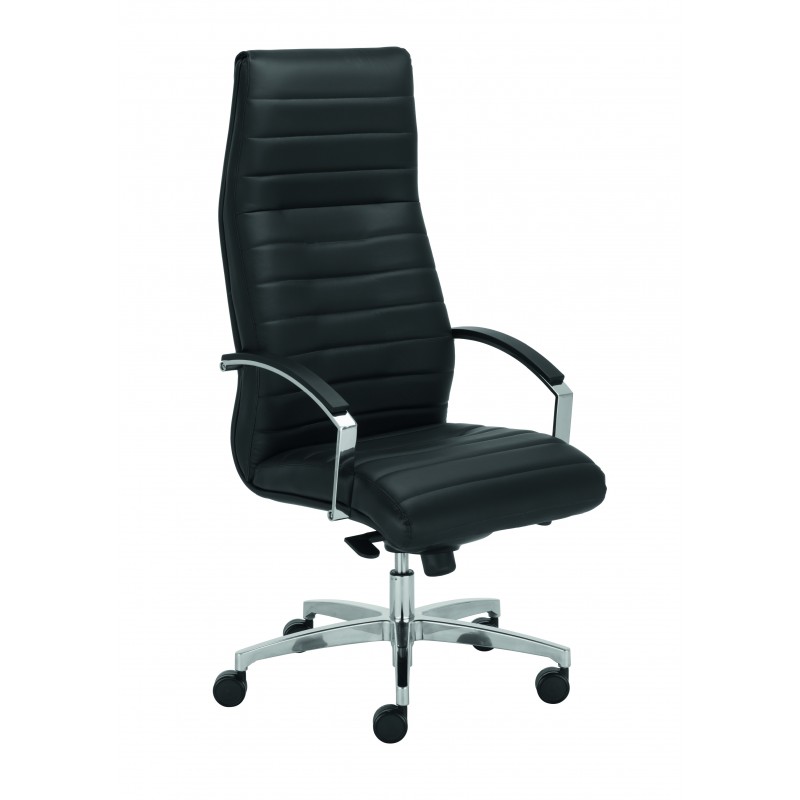 Fotel gabinetowy Lynx HB steel43